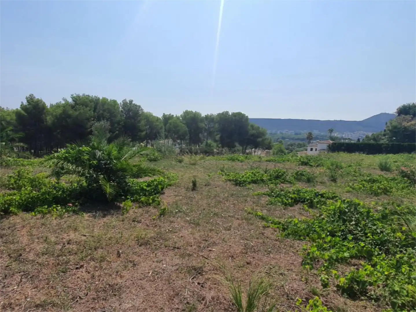 Houses for sale in Calle Lluca, 14, Partides comunes - Adsubia Houses for sale in Jávea / Xàbia with Heating, Private garden and Terrace