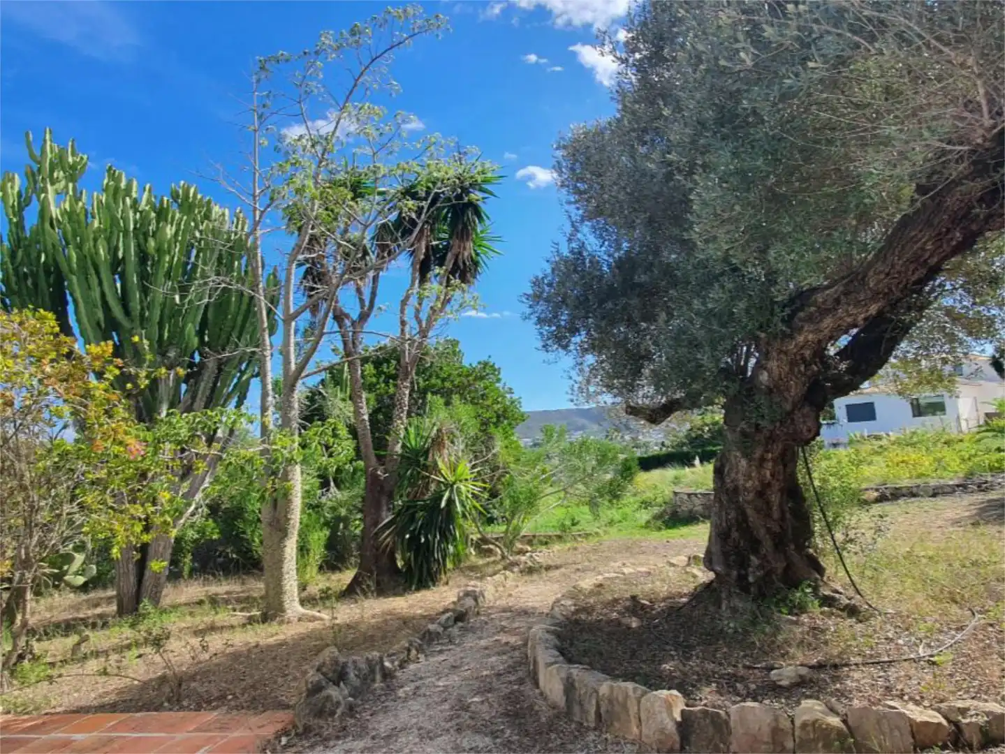Houses for sale in Calle Lluca, 14, Partides comunes - Adsubia Houses for sale in Jávea / Xàbia with Heating, Private garden and Terrace