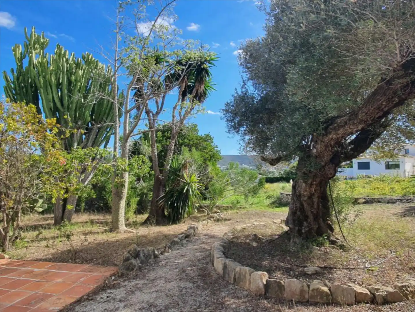 Houses for sale in Calle Lluca, 14, Partides comunes - Adsubia Garden of Houses for sale in Jávea / Xàbia with Heating, Private garden and Terrace