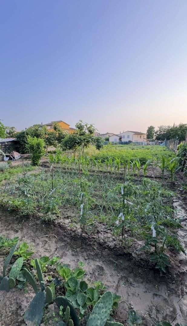 Land for sale in Bordils