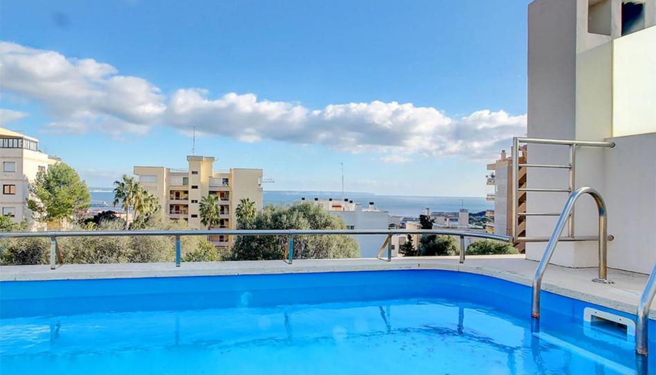 Flat to rent in Carrer del General Antoni Barceló, 27, La Bonanova, Illes Balears - image 1 Photo 1 of Flat to rent in Carrer del General Antoni Barceló, 27, La Bonanova, Illes Balears