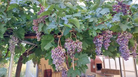 Foto 4 de Casa o xalet en venda a Camino del Manaero, 2, Barajas de Melo, Cuenca