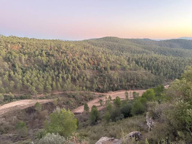 Finca rústica en Venta en BV-4401, 3 en Gaià