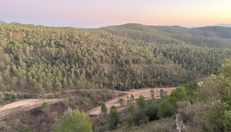 Foto 1 de Finca rústica en venda a Bv-4401, 3, Gaià, Barcelona