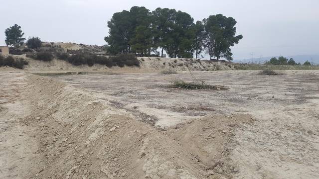 Terreno en Venta en Diseminado Camino Almazara, 1 en Alguazas