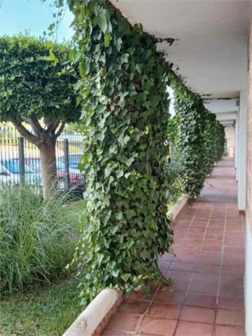 Jardín de Apartamento en venta en Garrucha con Terraza y Piscina
