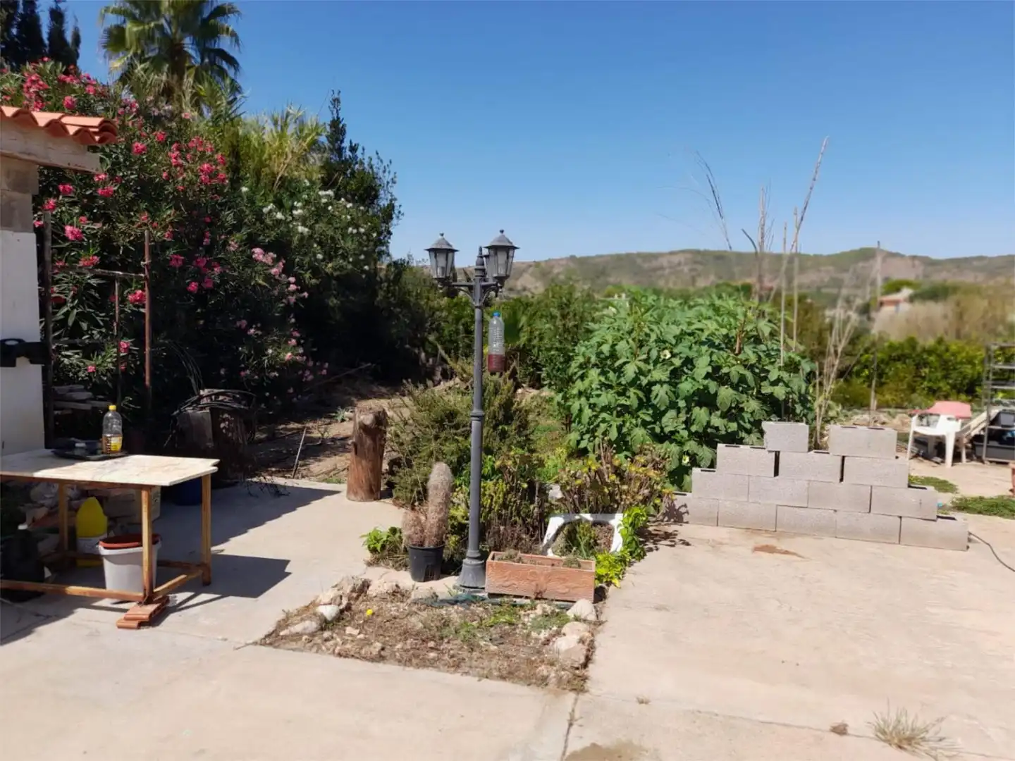 Jardín de Casa o chalet en venta en Alfarb con Terraza y Piscina