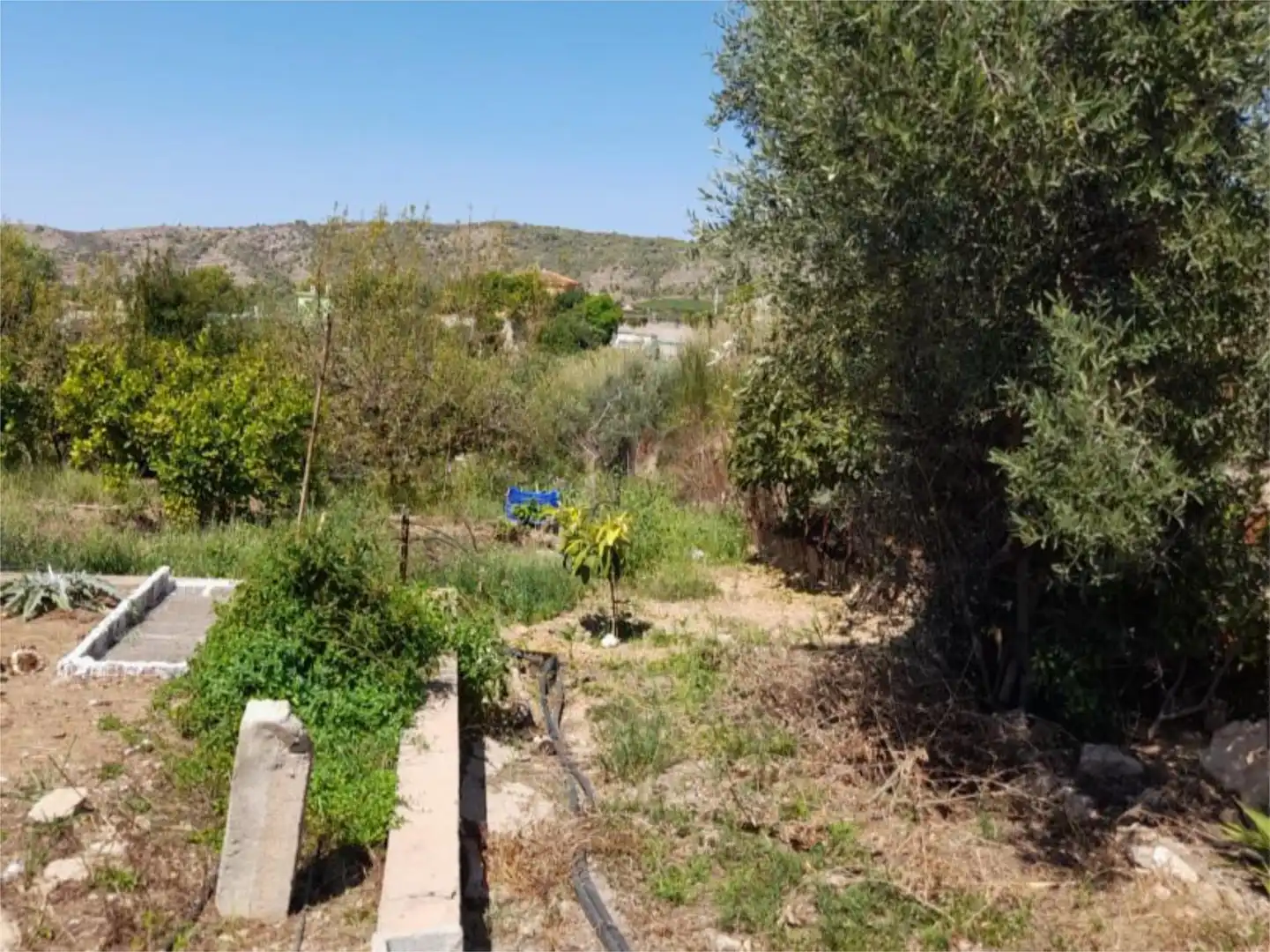 Casa o chalet en venta en Alfarb con Terraza y Piscina