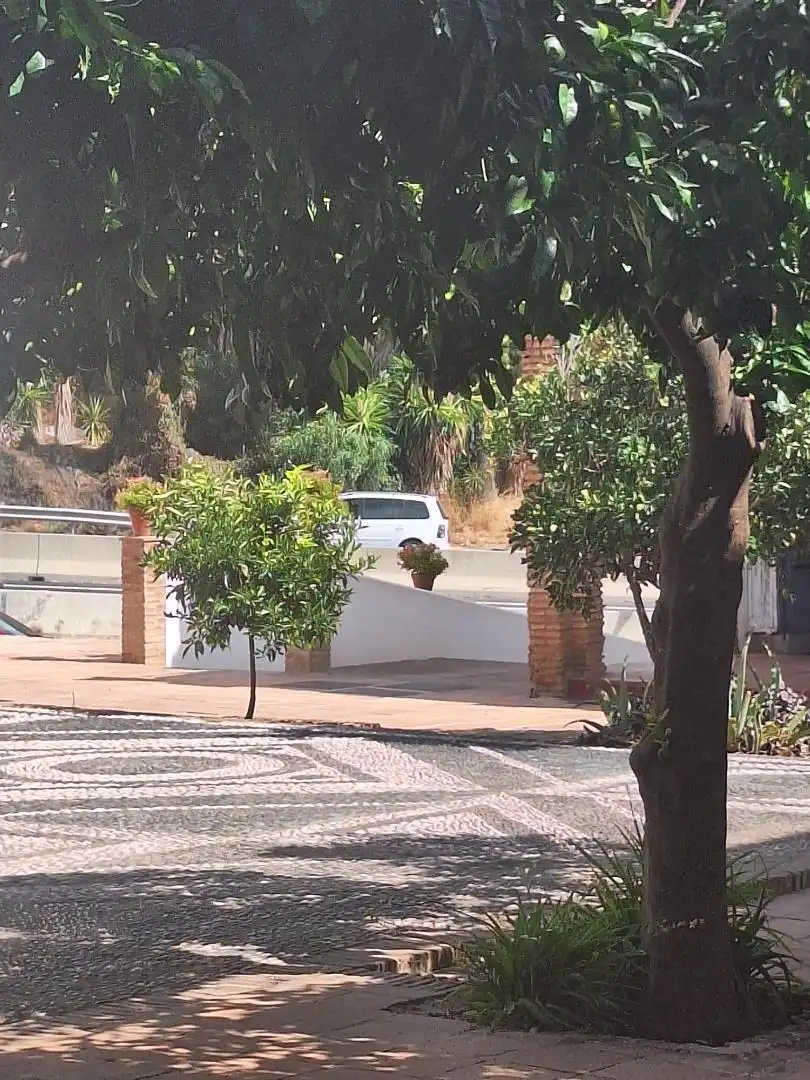 Vista exterior de Local en venda en Marbella