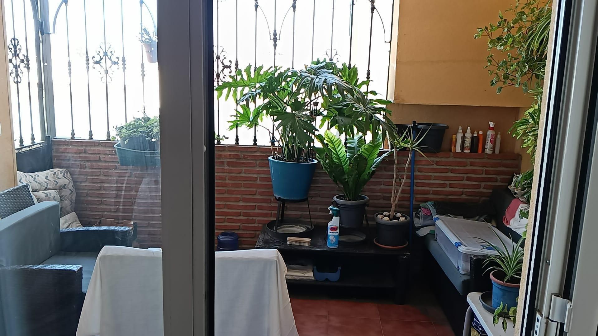 Single-family semi-detached to share in Calle los Alamos, 8, Mollina