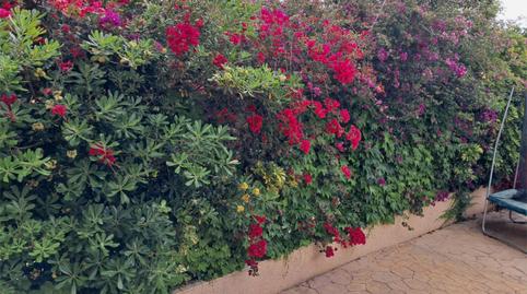 Foto 4 de Casa o xalet de lloguer a Calle Monte de Santa Pola, 10, Monte Faro - Altomar II, Alicante