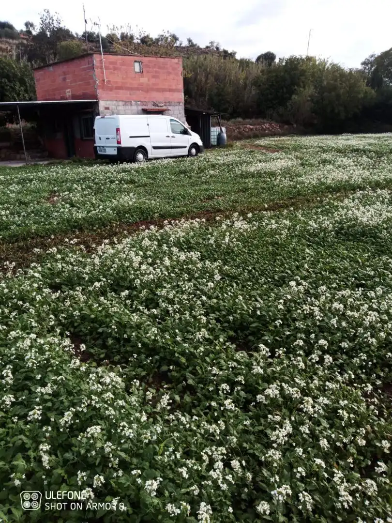 Finca rústica en venta en Carrer de Sant Pere, 1, Les Borges Blanques Jardín de Finca rústica en venta en Les Borges Blanques con Jardín privado, Terraza y Amueblado