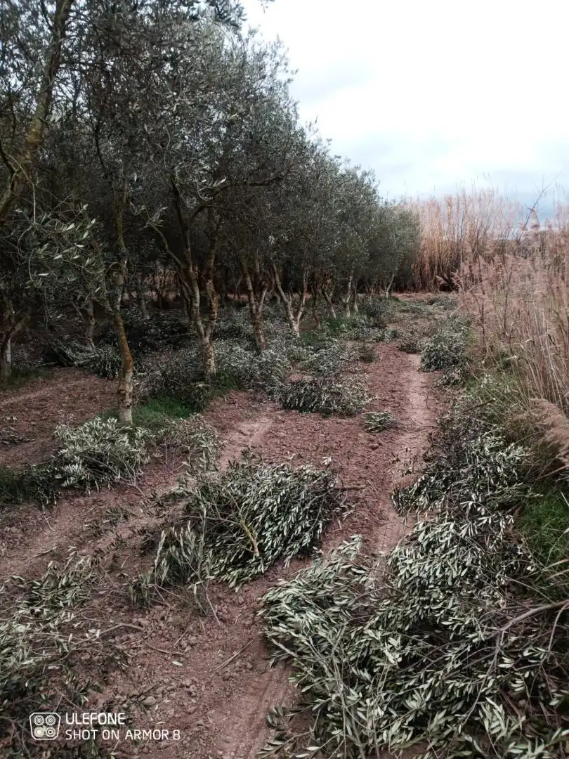 Finca rústica en venta en Carrer de Sant Pere, 1, Les Borges Blanques Finca rústica en venta en Les Borges Blanques con Jardín privado, Terraza y Amueblado