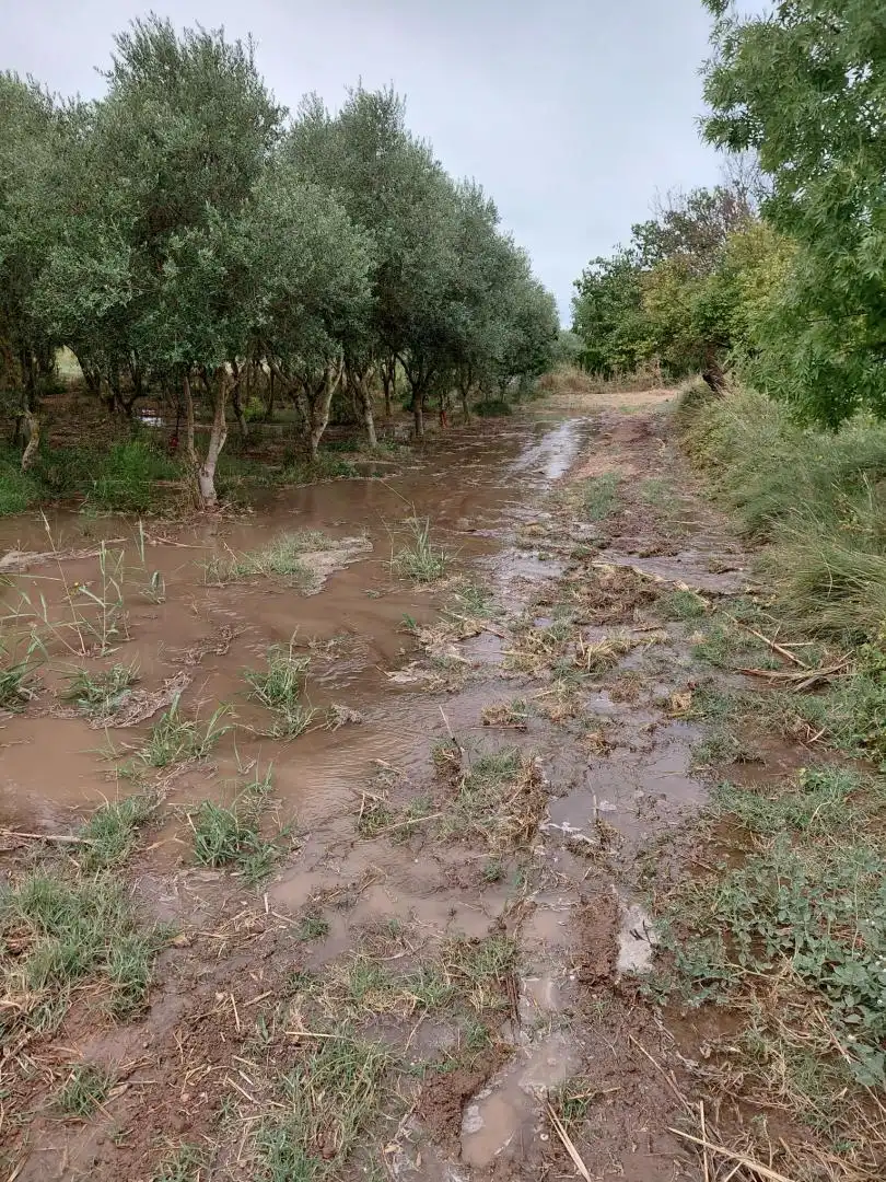 Finca rústica en venta en Carrer de Sant Pere, 1, Les Borges Blanques Vista exterior de Finca rústica en venta en Les Borges Blanques con Jardín privado, Terraza y Amueblado