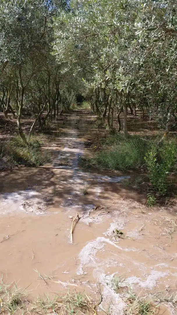 Finca rústica en venta en Carrer de Sant Pere, 1, Les Borges Blanques Vista exterior de Finca rústica en venta en Les Borges Blanques con Jardín privado, Terraza y Amueblado