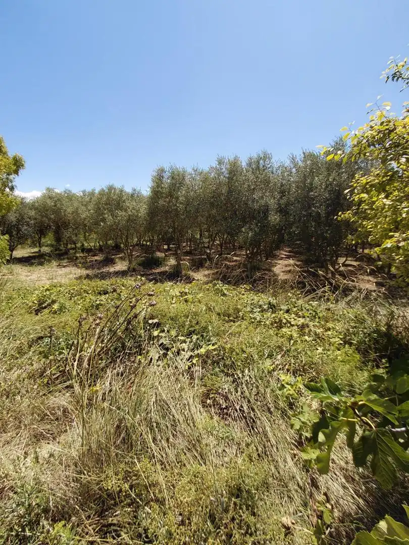 Finca rústica en venta en Carrer de Sant Pere, 1, Les Borges Blanques Finca rústica en venta en Les Borges Blanques con Jardín privado, Terraza y Amueblado