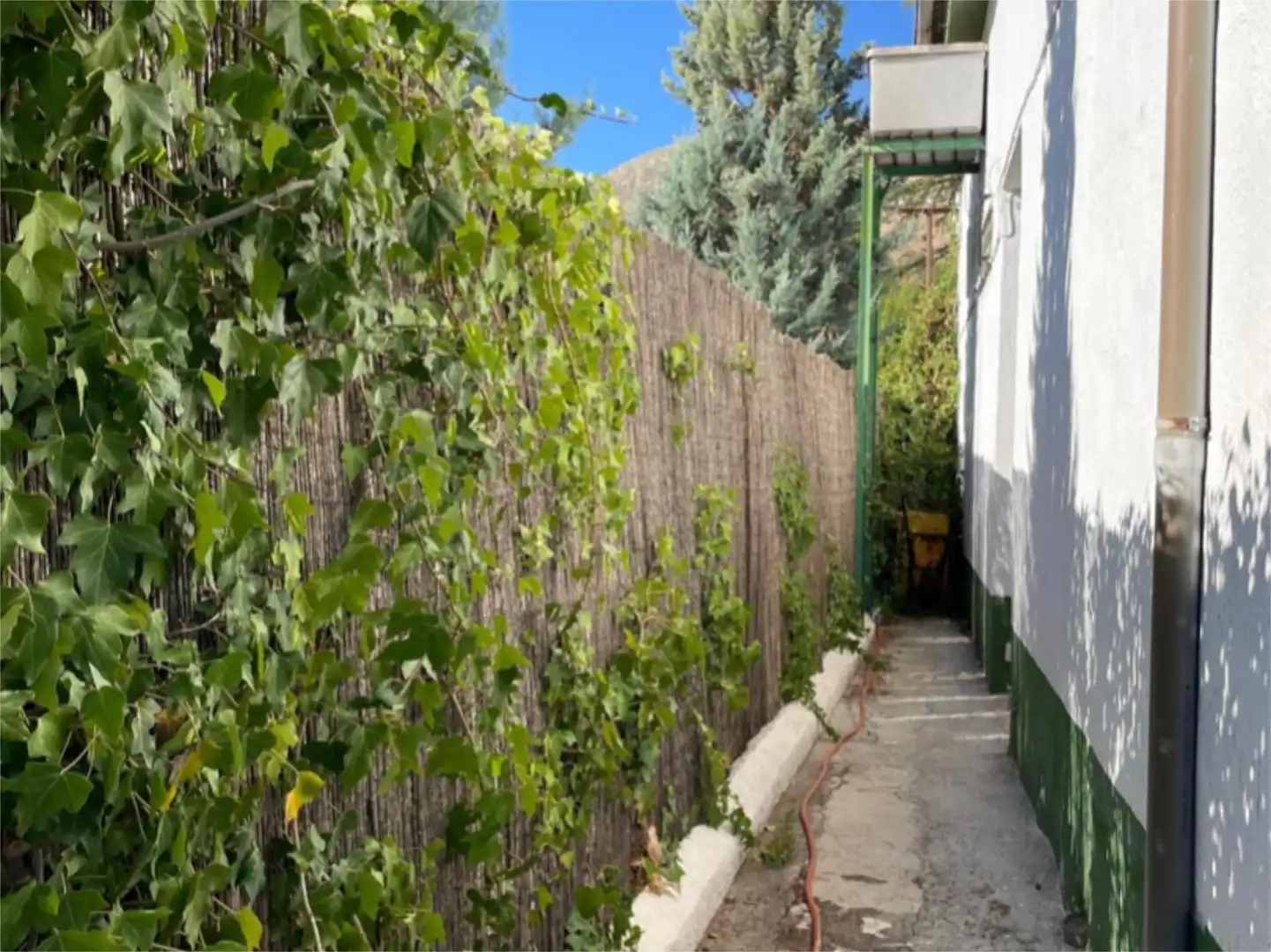 Jardín de Casa o chalet en venta en Alfacar con Terraza y Piscina