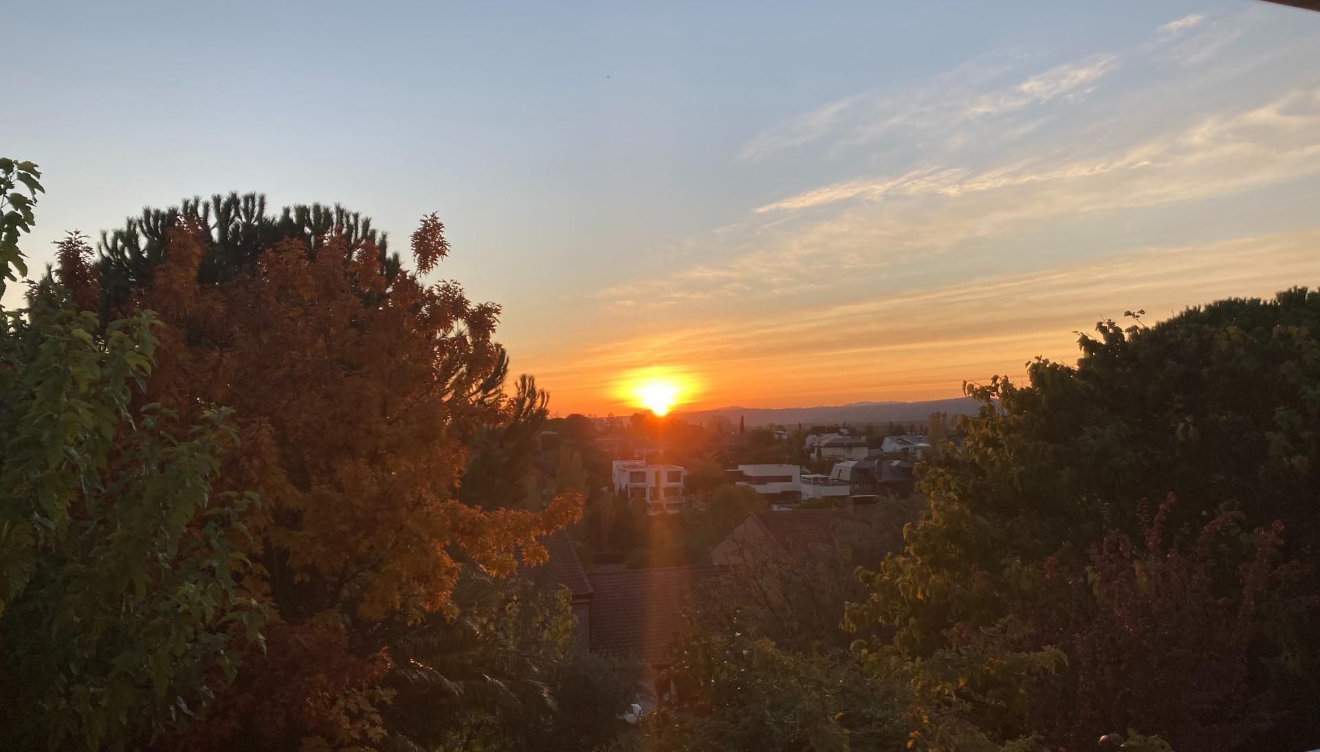 Vista exterior de Casa adosada en venta en Las Rozas de Madrid con Aire acondicionado, Calefacción y Jardín privado
