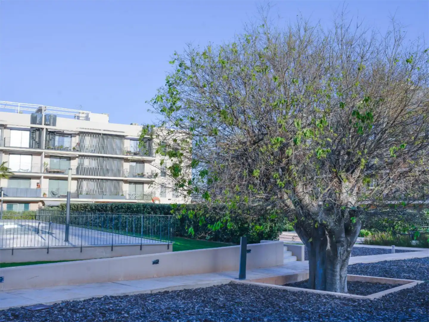 Planta baixa en venda a Carrer de Jaume Villanueva, 3, Estadi Balear Vista exterior de Planta baixa en venda en Palma de Mallorca amb Aire condicionat, Calefacció i Parquet