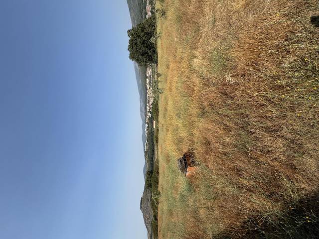 Finca rústica en Venta en EX-203, 35 en Jaraíz de la Vera