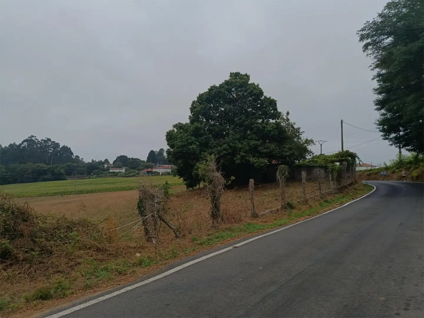 Finca rústica en venda a Lugar Turces, 21, Touro Finca rústica en venda en Touro amb Terrassa