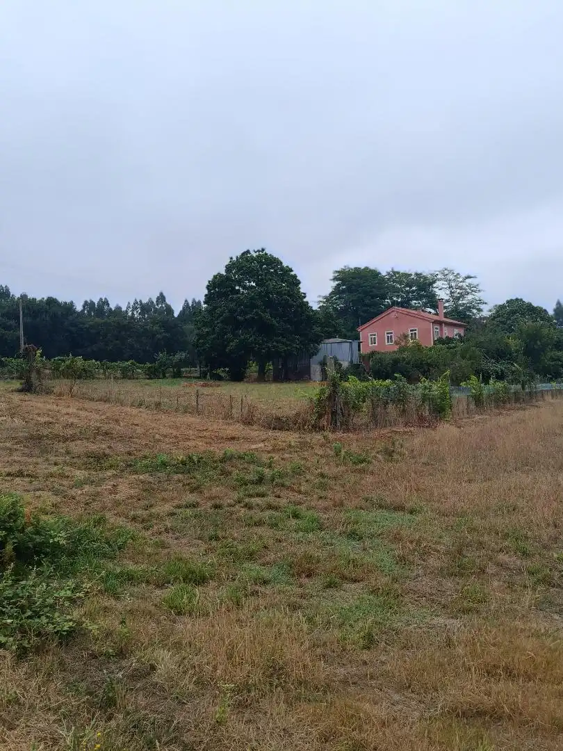 Finca rústica en venda a Lugar Turces, 21, Touro Finca rústica en venda en Touro amb Terrassa