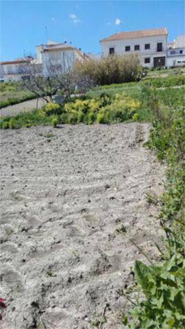 Casa-chalet en Venta en Montilla