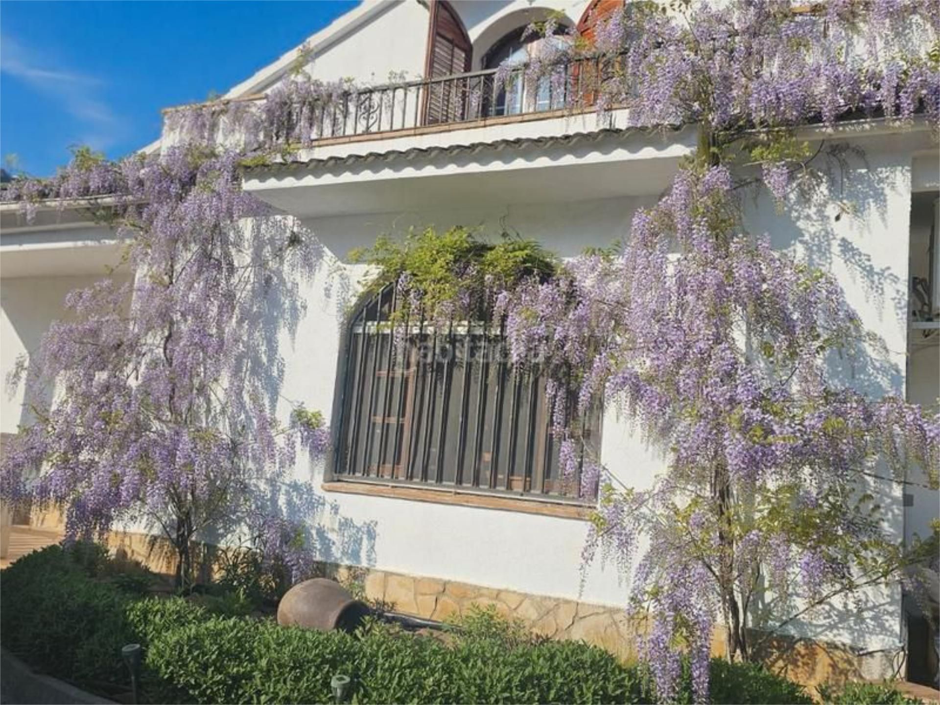 Jardí de Casa o xalet en venda en Pineda de Mar amb Aire condicionat, Terrassa i Piscina