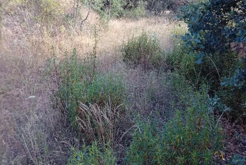 Country house zum Verkauf in Diseminado Presa el Villar, 1a, Puentes Viejas, Madrid - Bild 1 Foto 1 von Country house zum Verkauf in Diseminado Presa el Villar, 1a, Puentes Viejas, Madrid