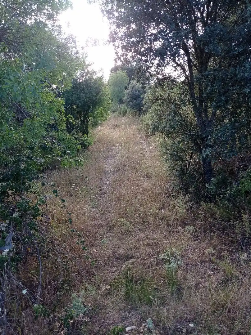 Finca rústica en venta en Diseminado Presa el Villar, 1a, Puentes Viejas Finca rústica en venta en Puentes Viejas