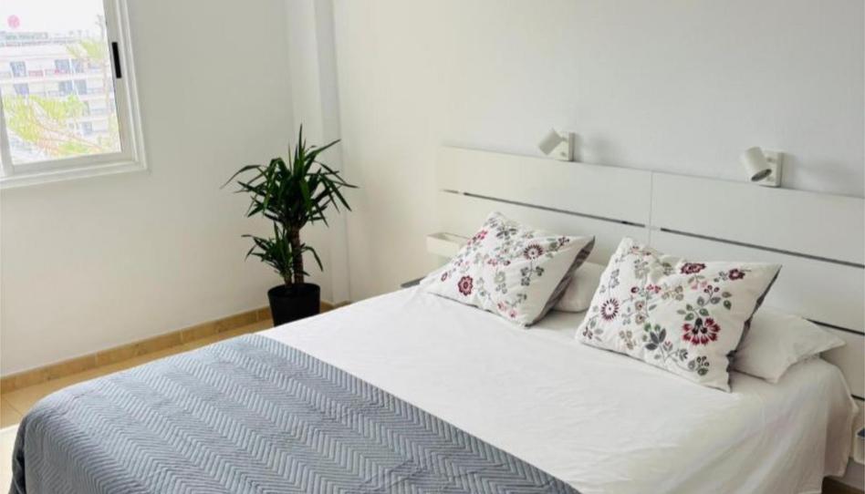 Foto 1 de Pis de lloguer a Avenida Santiago Puig, 4, Playa de las Américas, Santa Cruz de Tenerife