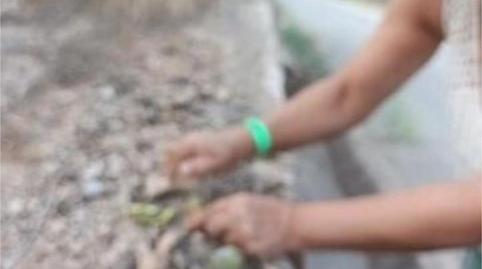 Foto 2 de Traster de lloguer a Los Ramos, Murcia