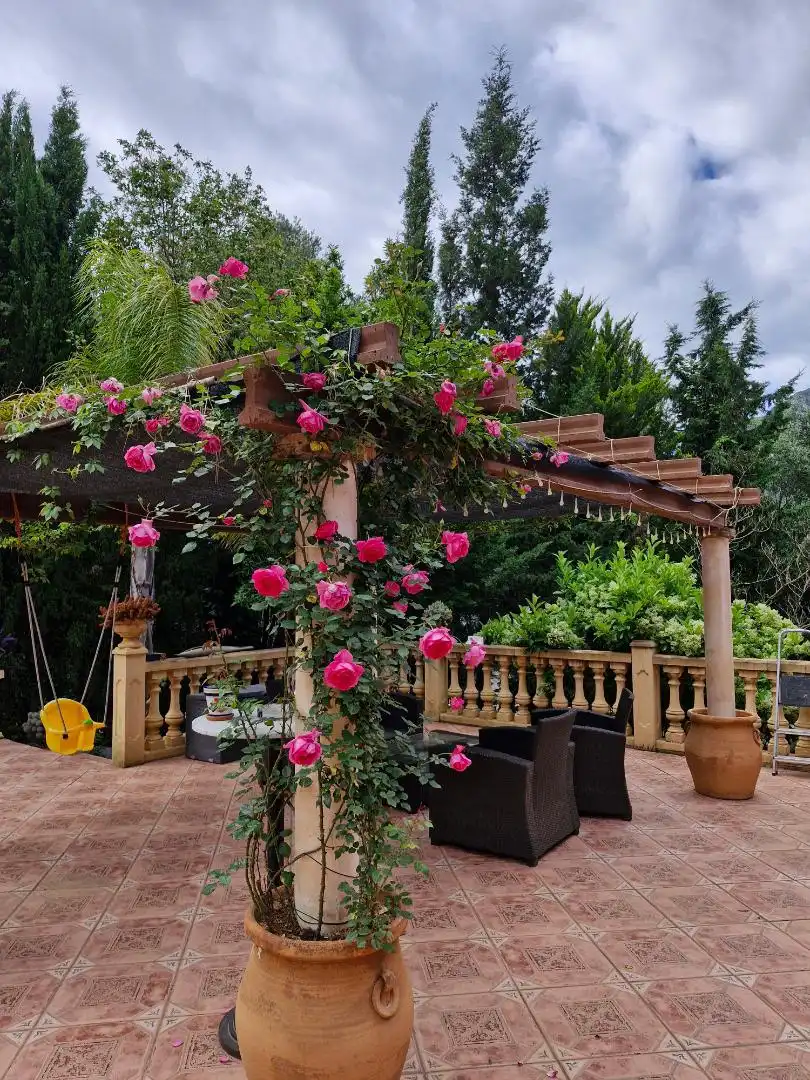 Casa o xalet en venda a Carrer del Picaio, 7, Barx Terrassa de Casa o xalet en venda en Barx amb Aire condicionat, Calefacció i Jardí privat
