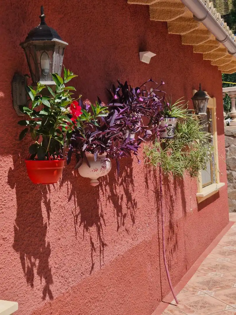Casa o xalet en venda a Carrer del Picaio, 7, Barx Jardí de Casa o xalet en venda en Barx amb Aire condicionat, Calefacció i Jardí privat