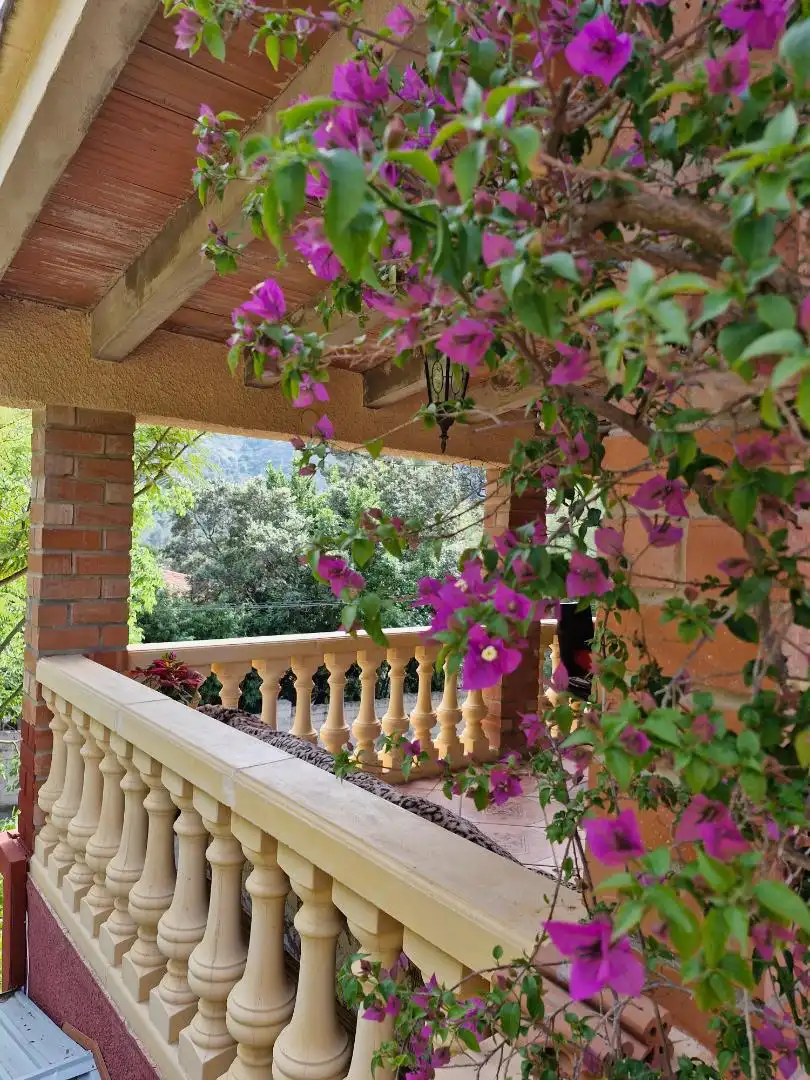 Casa o xalet en venda a Carrer del Picaio, 7, Barx Terrassa de Casa o xalet en venda en Barx amb Aire condicionat, Calefacció i Jardí privat