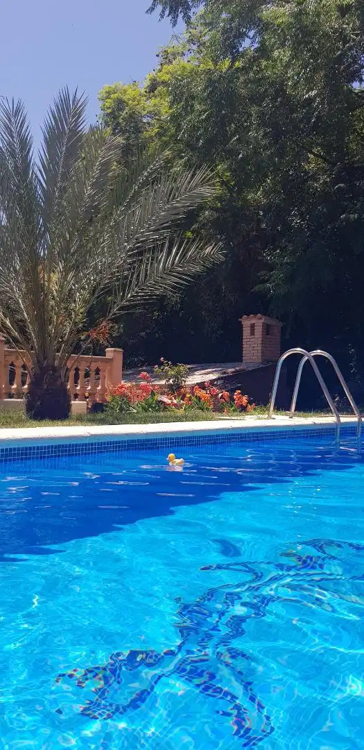 Casa o xalet en venda a Carrer del Picaio, 7, Barx Piscina de Casa o xalet en venda en Barx amb Aire condicionat, Calefacció i Jardí privat