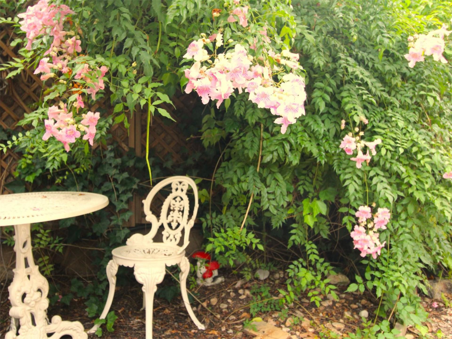 Jardí de Pis de lloguer en Premià de Mar amb Aire condicionat i Terrassa