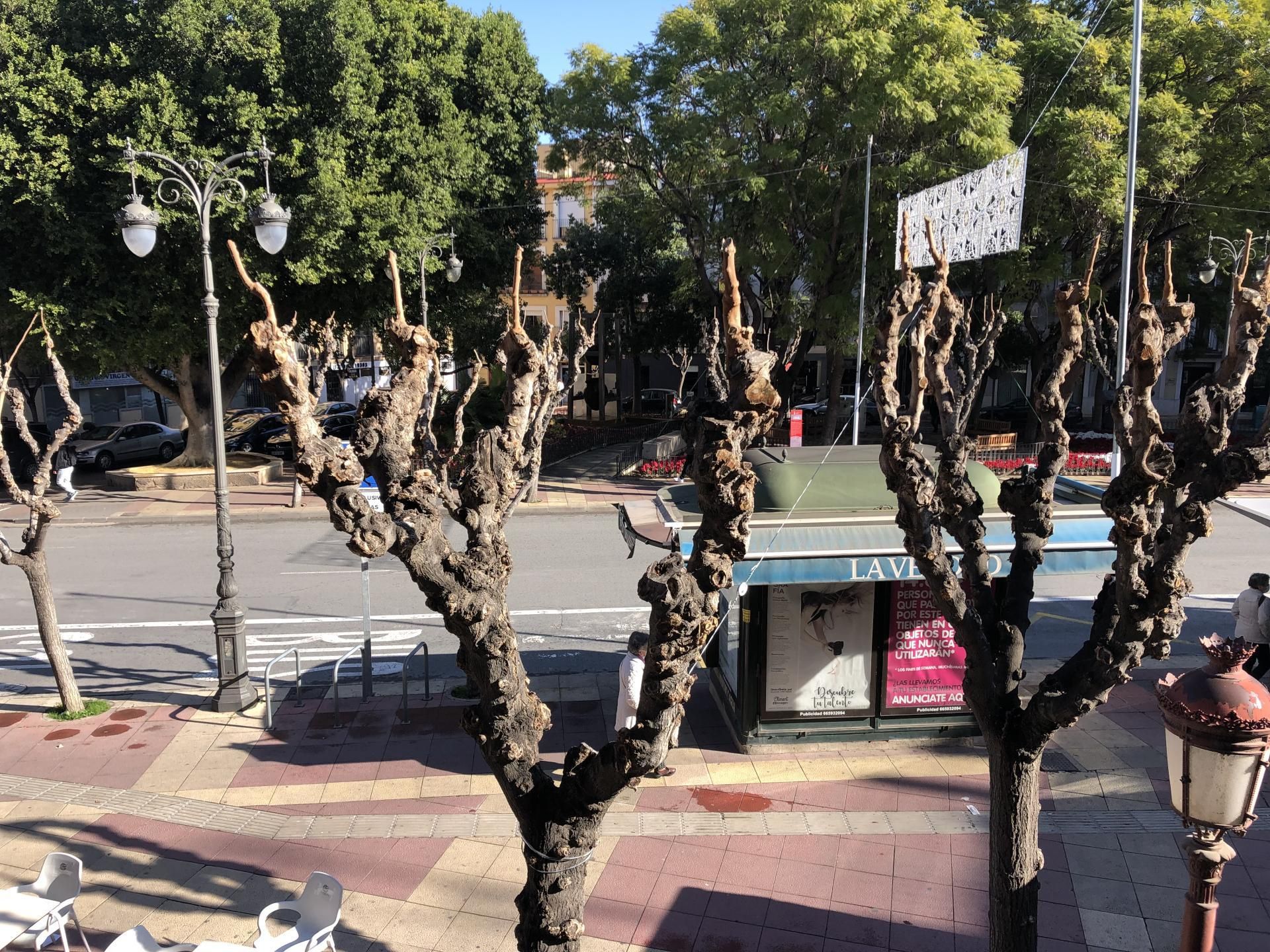 Pis de lloguer a Plaza Camachos, 3, El Carmen