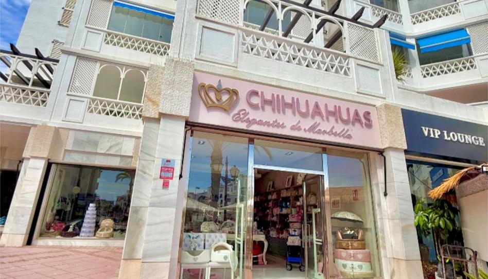 Premises to transfer in Avenida Playas del Duque, 1a, Puerto Banús, Málaga - image 1 Photo 1 of Premises to transfer in Avenida Playas del Duque, 1a, Puerto Banús, Málaga