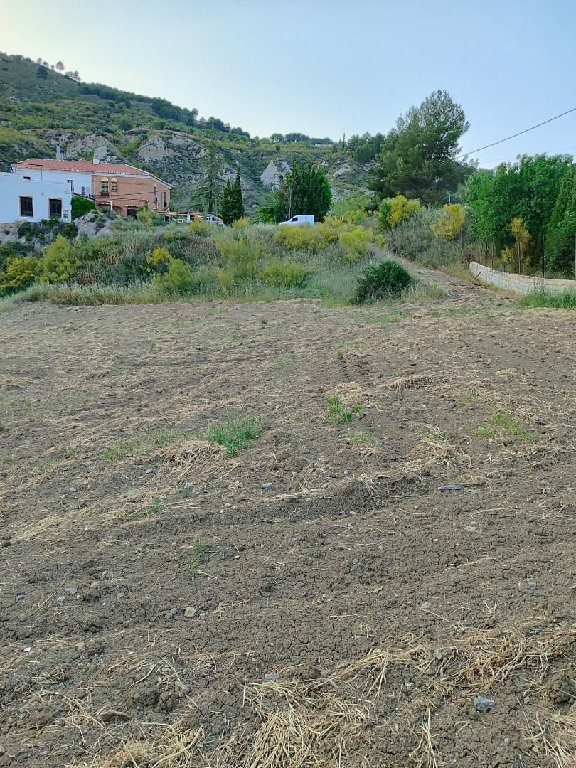 Land for sale in Quéntar