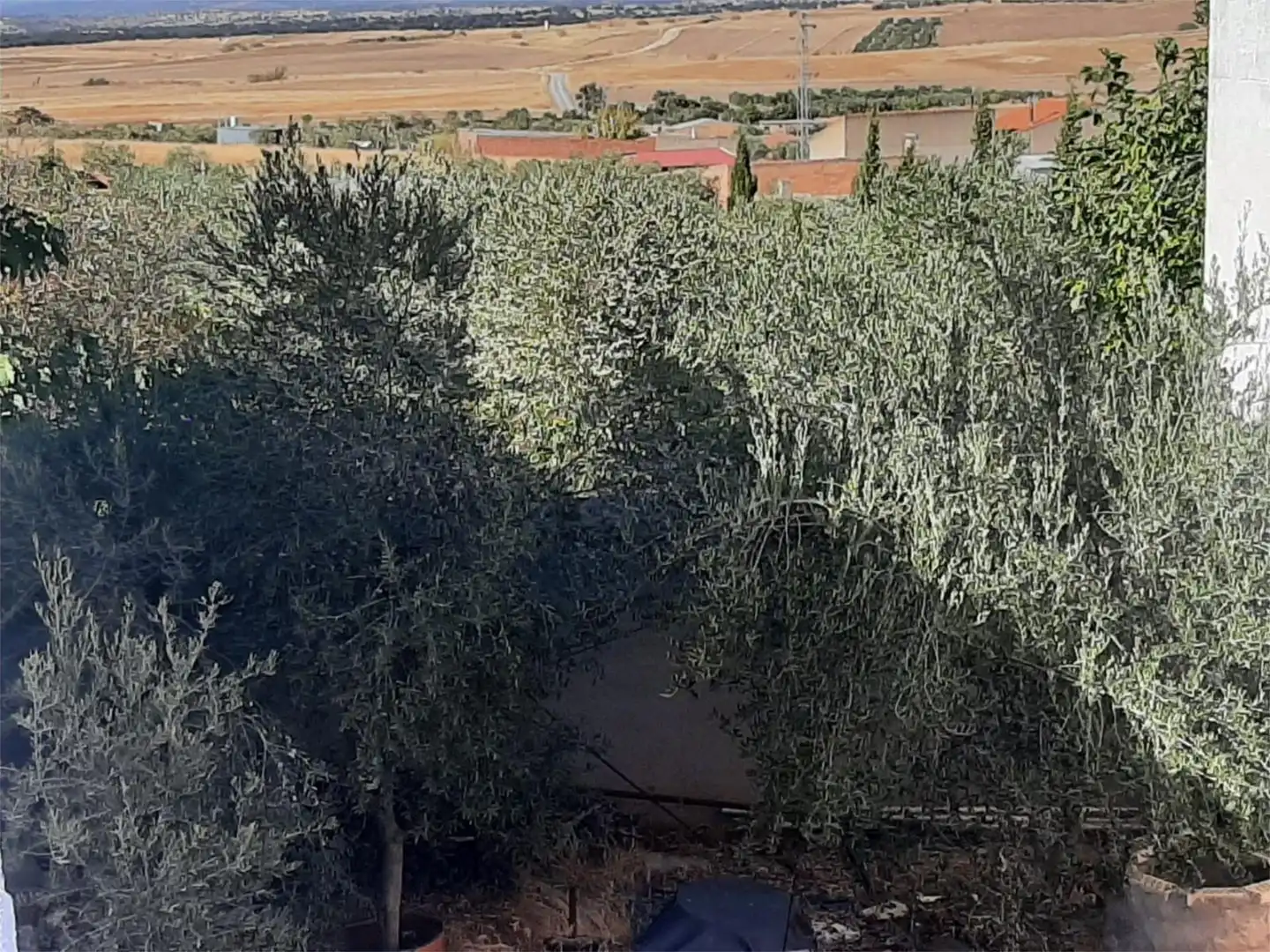 Pis en venda en Villaralto amb Jardí privat, Traster i Moblat