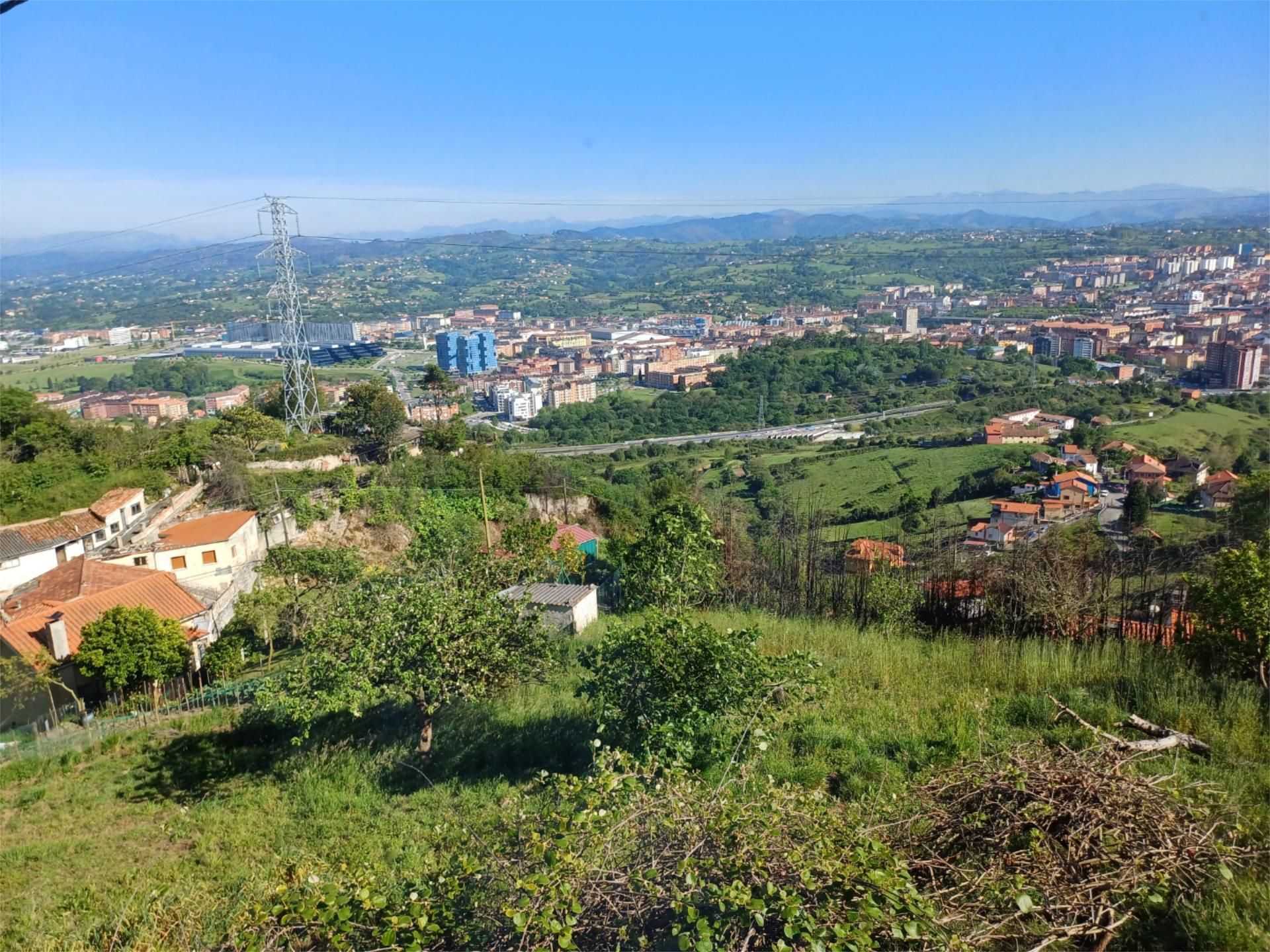 Exterior view of House or chalet for sale in Oviedo 