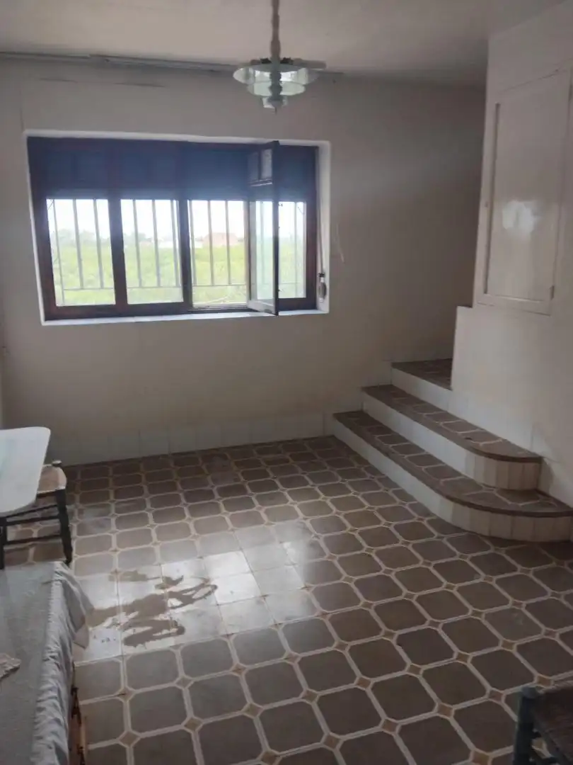 Houses for rent in Grupo Virgen del Pilar, 110, Ciutat del Transport - La Salera Houses for rent in Castellón de la Plana / Castelló de la Plana with Private garden and Terrace