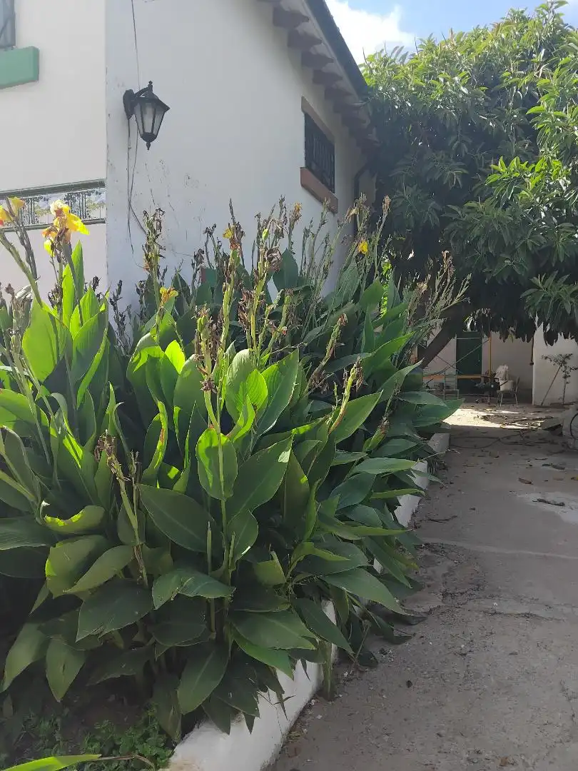 Houses for rent in Grupo Virgen del Pilar, 110, Ciutat del Transport - La Salera Garden of Houses for rent in Castellón de la Plana / Castelló de la Plana with Private garden and Terrace