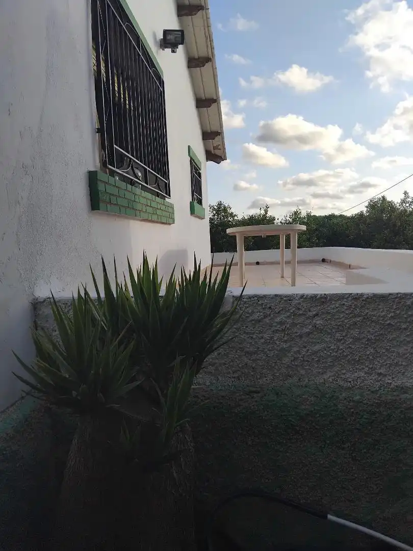 Houses for rent in Grupo Virgen del Pilar, 110, Ciutat del Transport - La Salera Terrace of Houses for rent in Castellón de la Plana / Castelló de la Plana with Private garden and Terrace