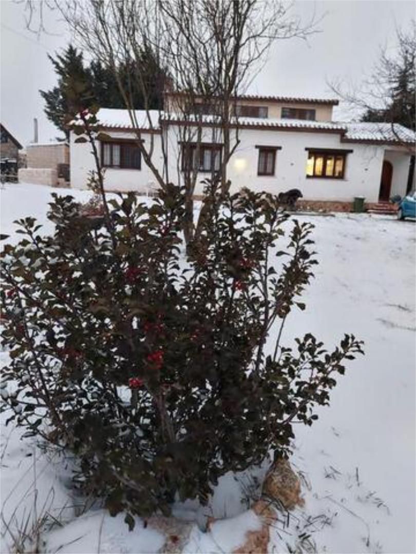 Jardí de Casa adosada en venda en Cogollos
