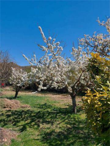 Casa adosada en Venta en Cogollos