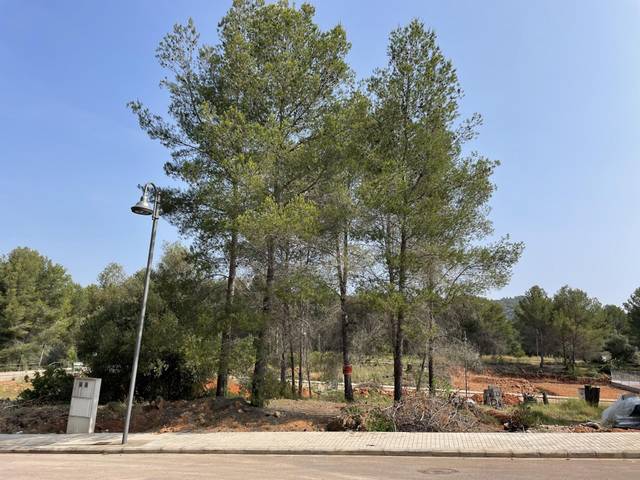 Terreno en Venta en Carrer de les Parres, 5 en Sant Joan de Moró