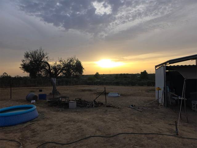 Terreno en Venta en Calle Sebastian Elcano las More, 12 en Bollullos de la Mitación