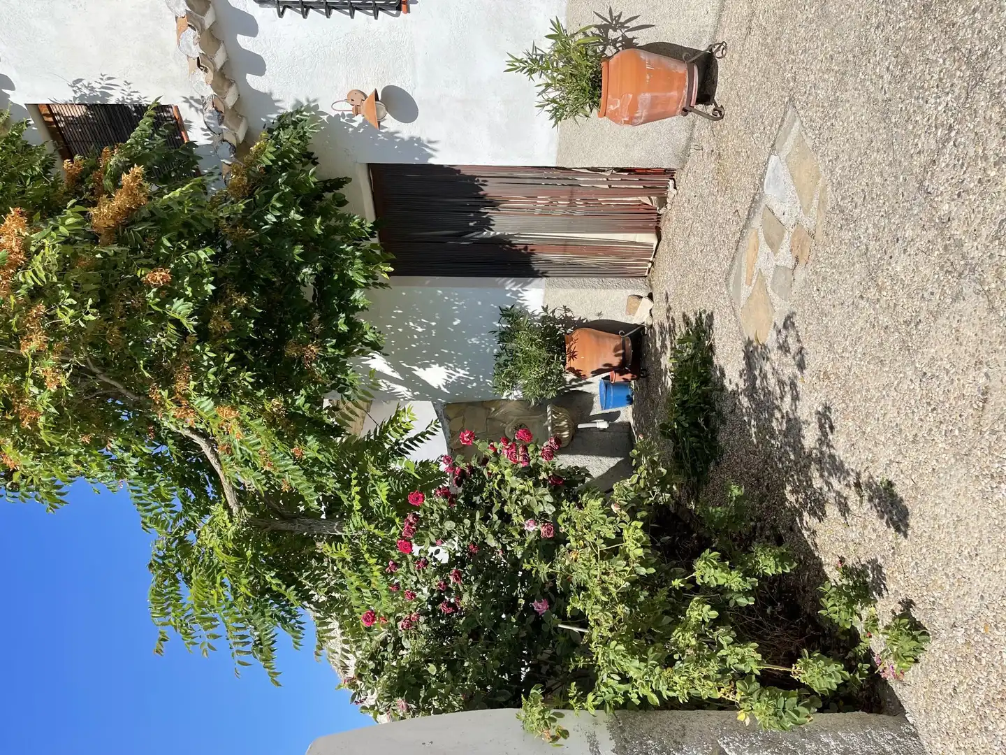 Jardín de Casa o chalet en venta en Galera con Terraza